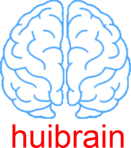 慧脑智能体 huibrain